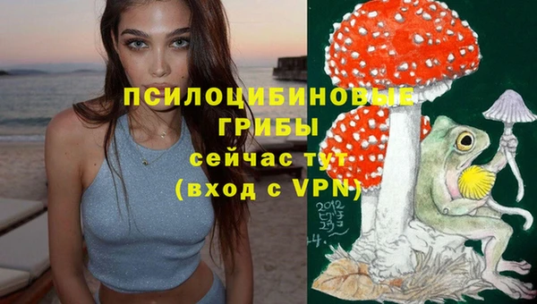ПСИЛОЦИБИНОВЫЕ ГРИБЫ Касимов