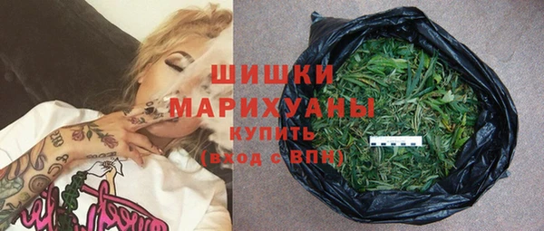 ПСИЛОЦИБИНОВЫЕ ГРИБЫ Касимов