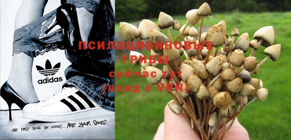 молекула духа Карталы