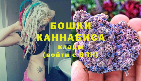ПСИЛОЦИБИНОВЫЕ ГРИБЫ Касимов