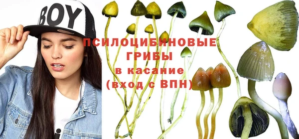 Альфа ПВП Карпинск
